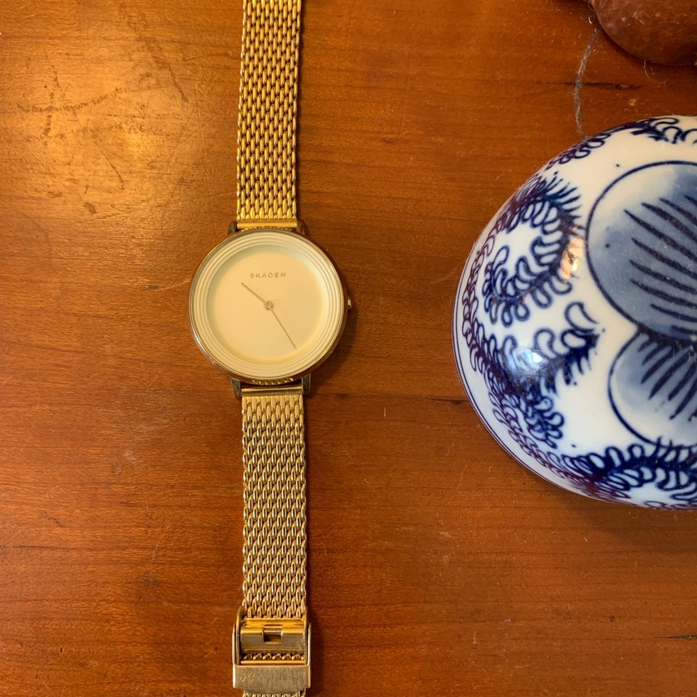 SKAGEN Goldtone Wristwatch